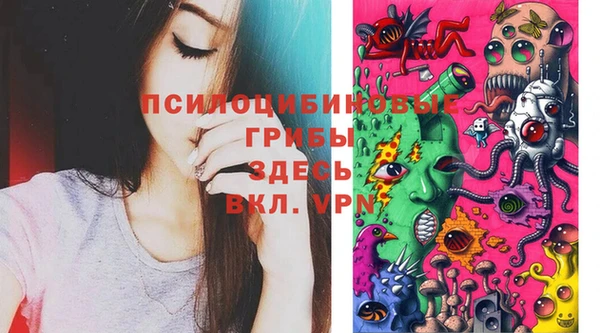 винт Арсеньев