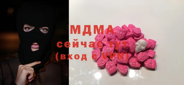 гашик Няндома