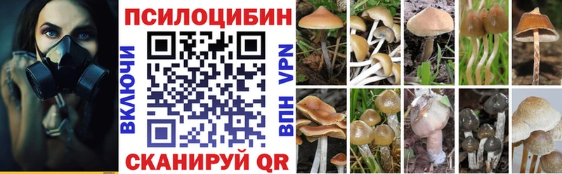 Галлюциногенные грибы прущие грибы  Адыгейск 